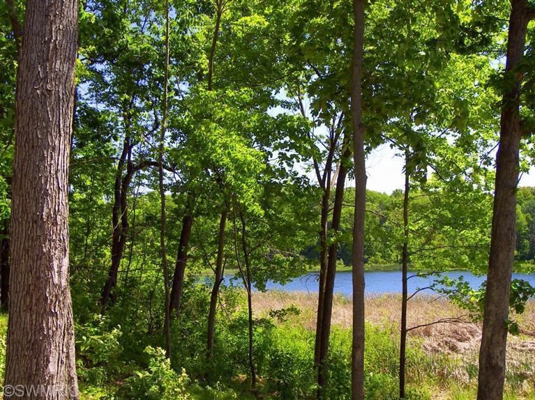 6670 Tower Lake Road Belding, MI 48809 - Photo 23 of 24 Additional Photo