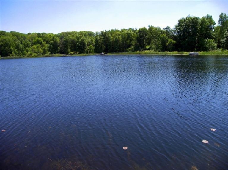 6670 Tower Lake Road Belding, MI 48809 - Photo 4 of 24 Additional Photo