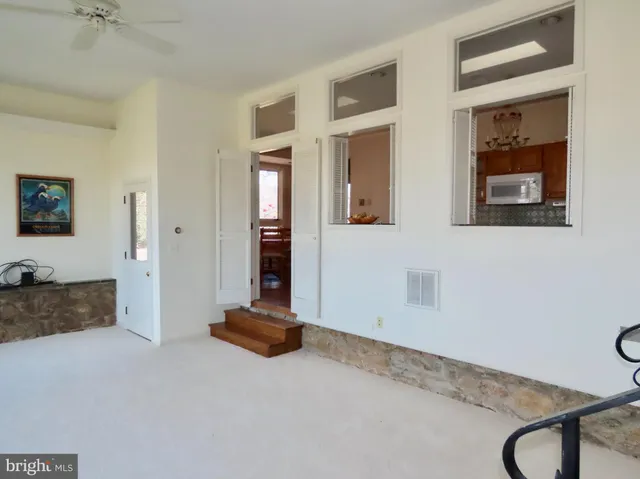 a view of dirt yard with a large tree