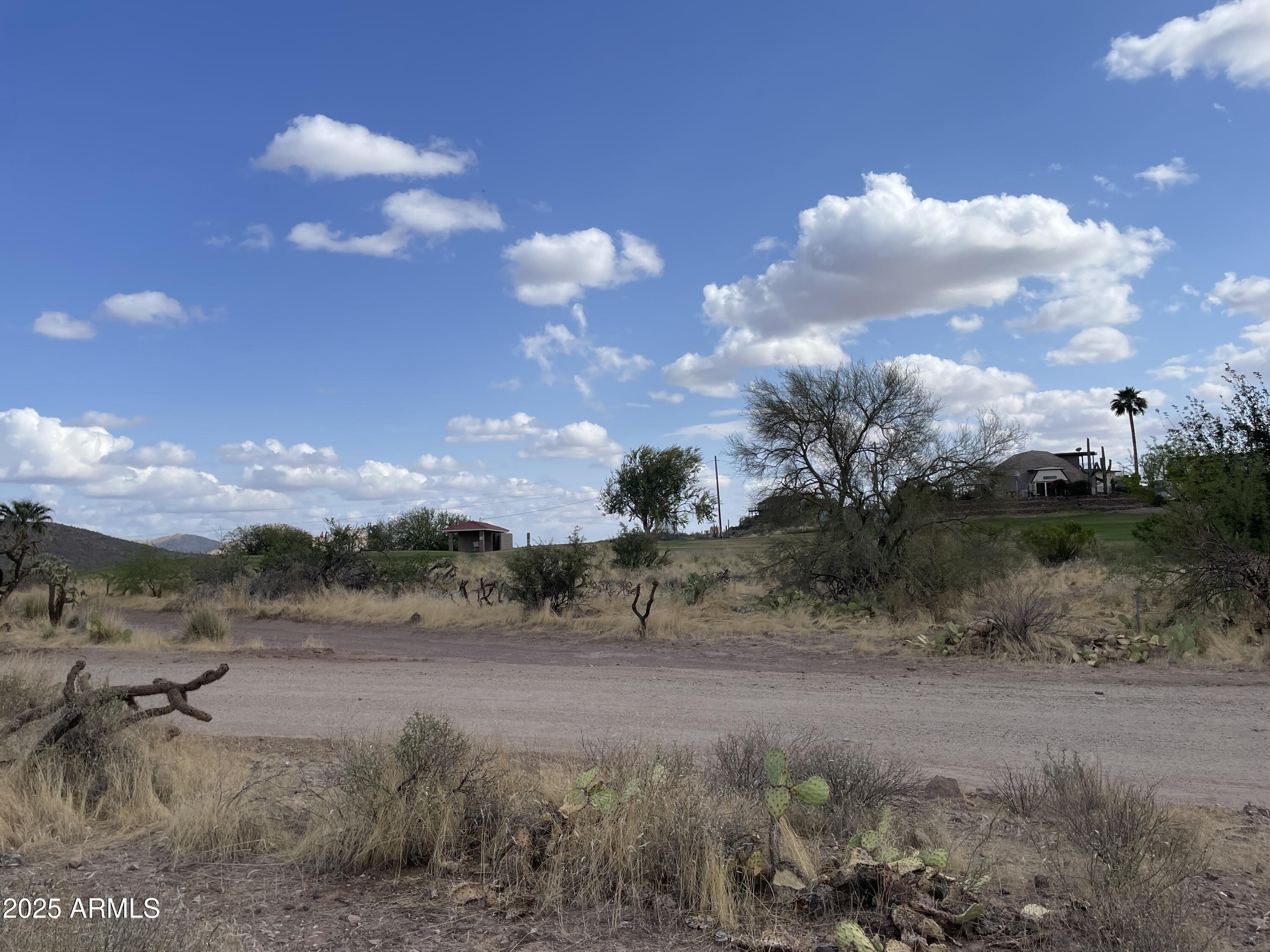 0 North Elephant Butte Road, Unit F Gold Canyon, AZ 85118 - Photo 2 of 5 a view of a yard