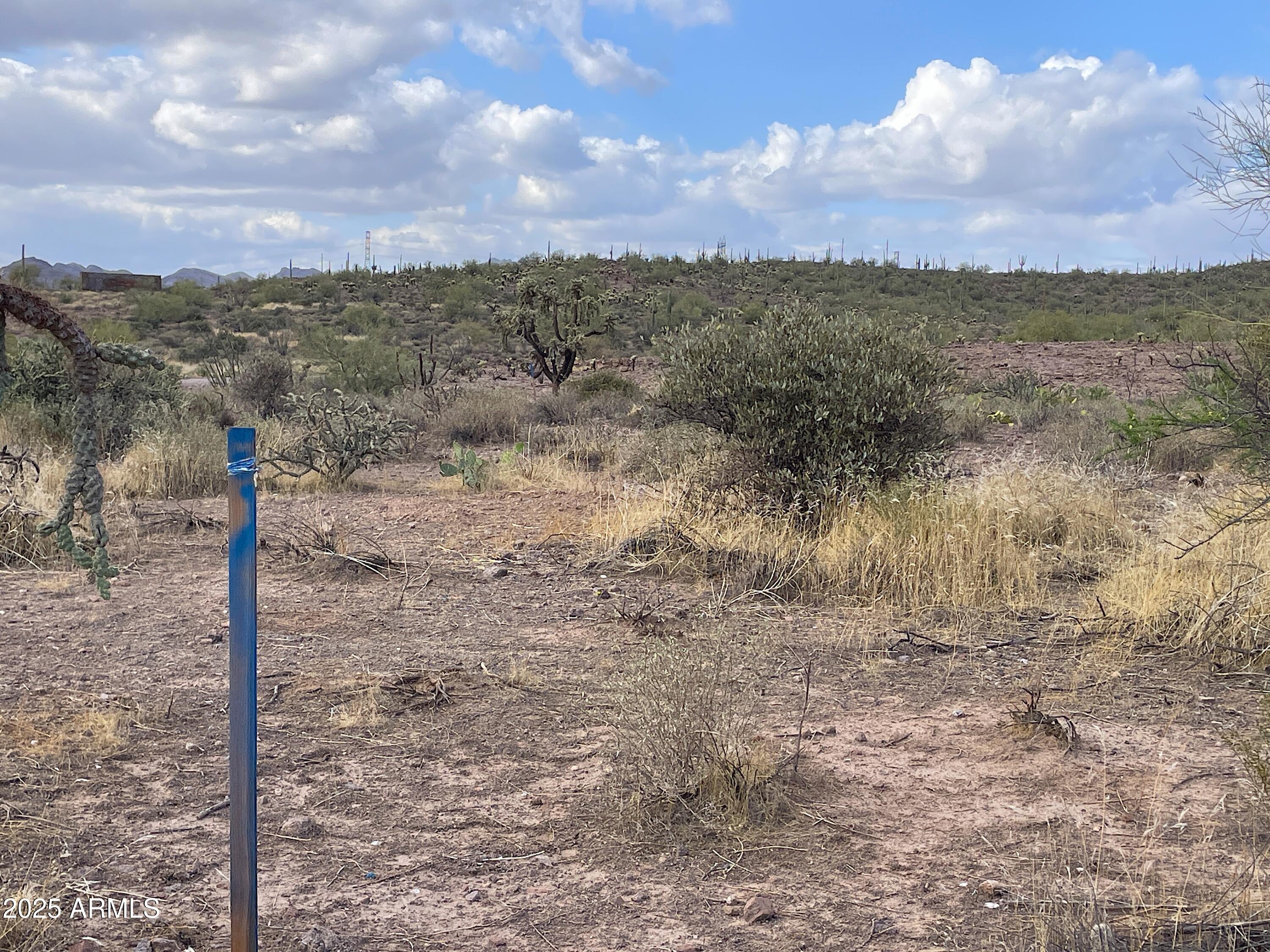 0 North Elephant Butte Road, Unit F Gold Canyon, AZ 85118 - Photo 3 of 5 a view of a yard
