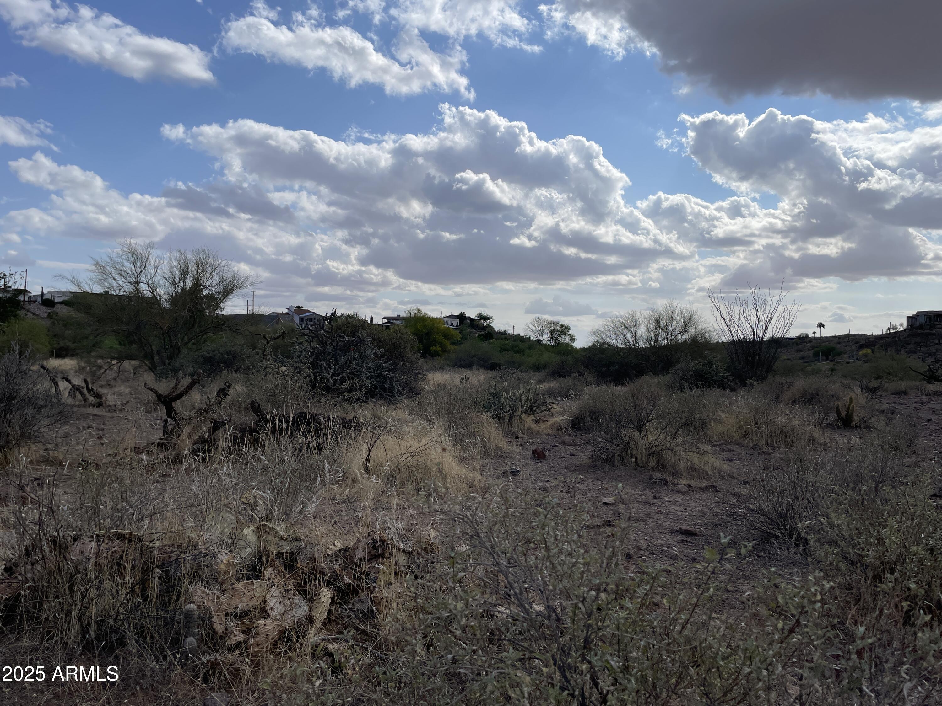 0 North Elephant Butte Road, Unit F Gold Canyon, AZ 85118 - Photo 4 of 5 a view of a dry yard with lots of trees