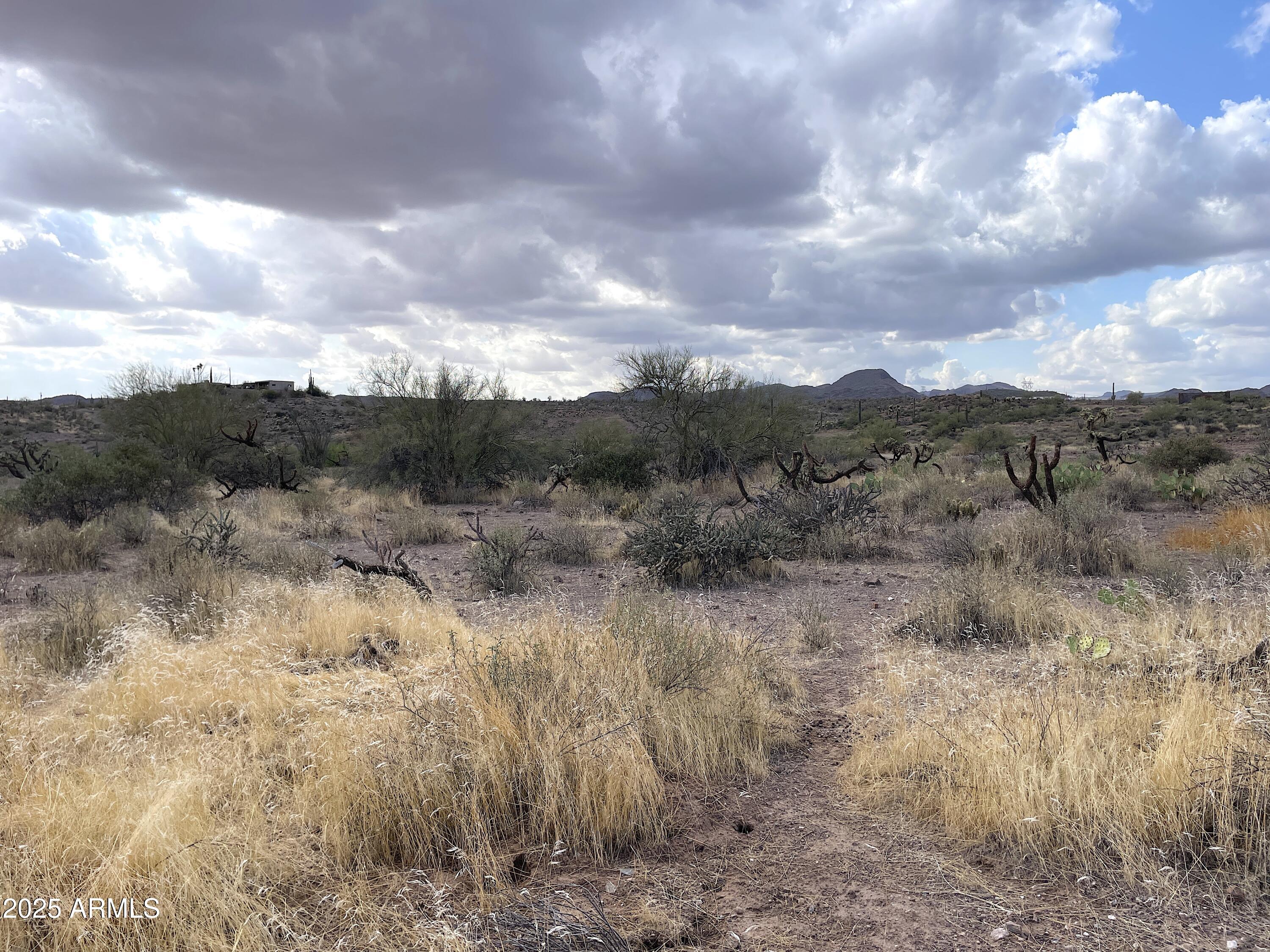 0 North Elephant Butte Road, Unit F Gold Canyon, AZ 85118 - Photo 5 of 5 a view of a bunch of trees in a field