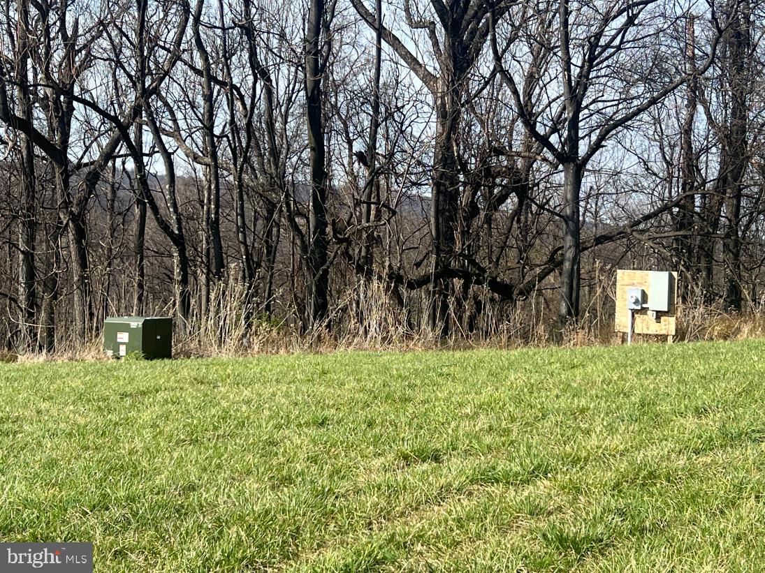 2065 Leeds Manor Road Markham, VA 22643 - Photo 4 of 14 Underground electric