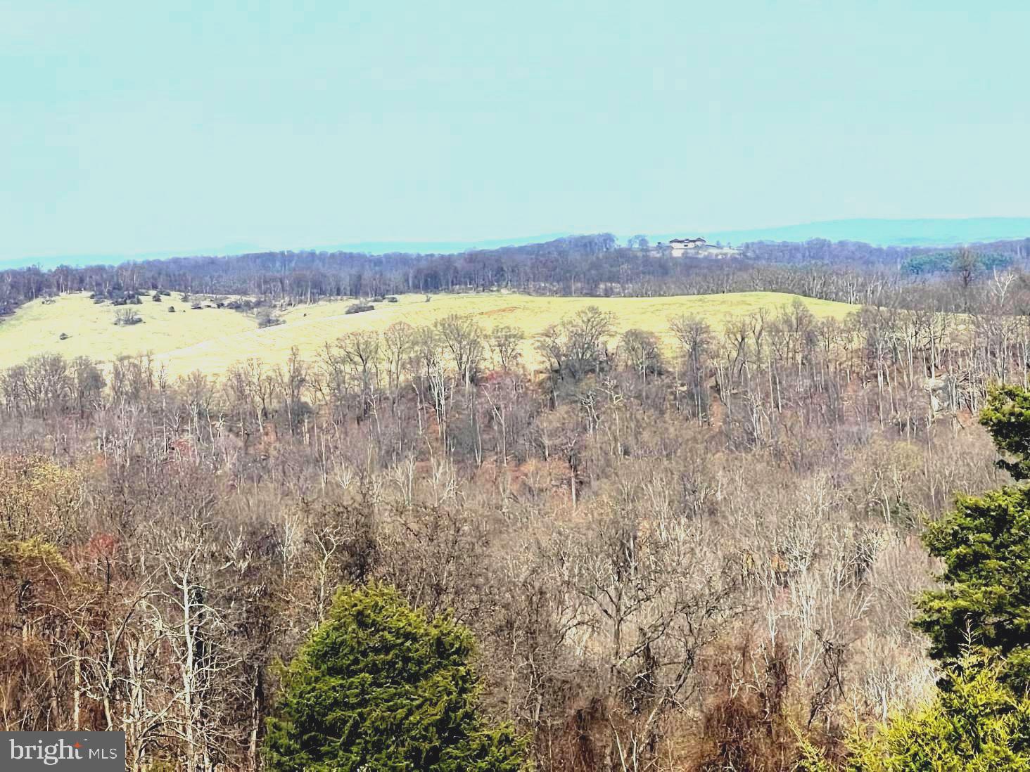 2065 Leeds Manor Road Markham, VA 22643 - Photo 8 of 14