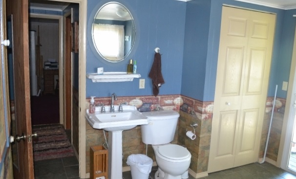 481 East Fillmore Road Ithaca, MI 48847 - Photo 17 of 32 1822116-16.JPG