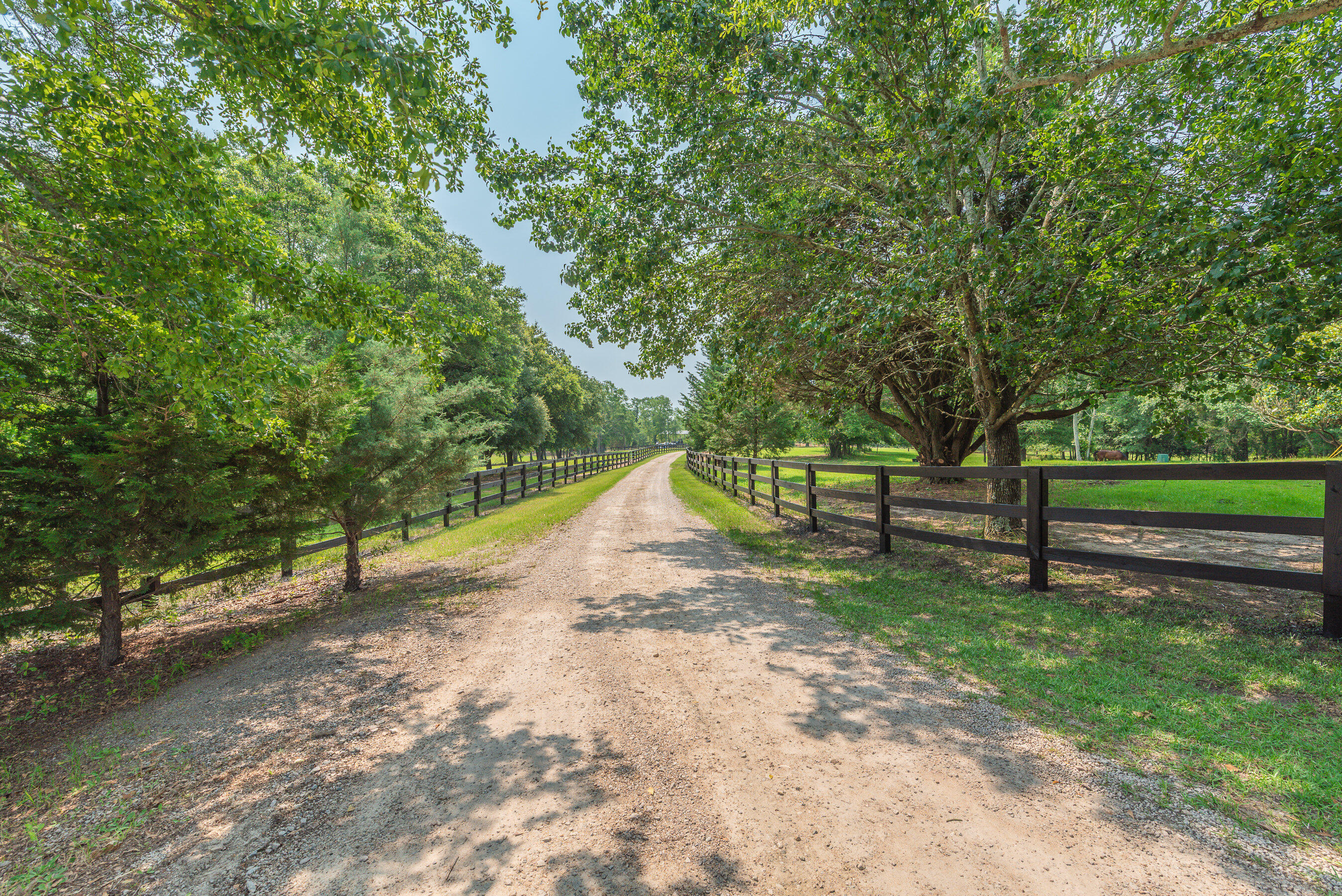 148 Derrick Road Trenton, SC 29847 - Photo 2 of 58