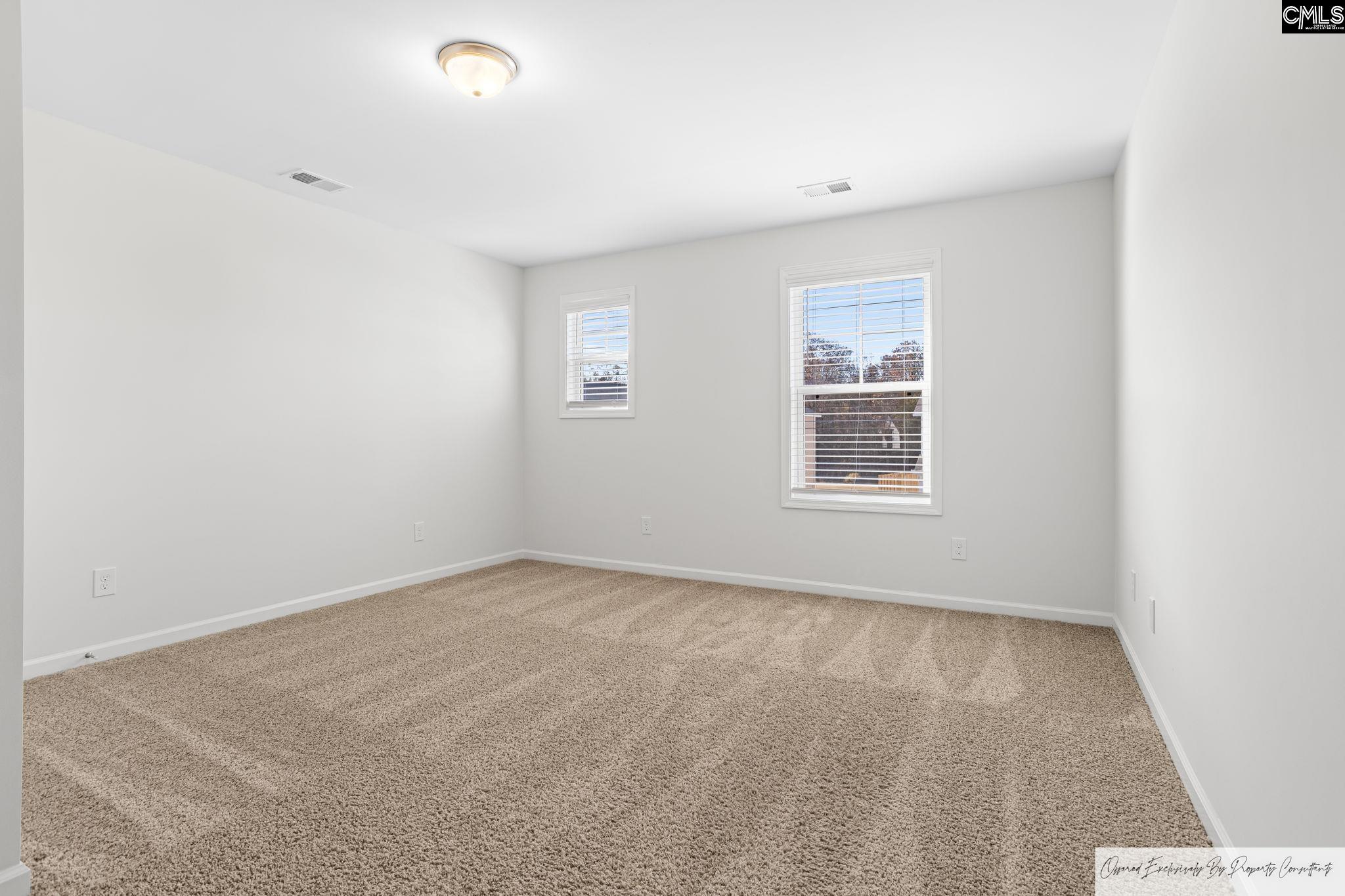 184 Wahoo Circle Irmo, SC 29063 - Photo 21 of 30