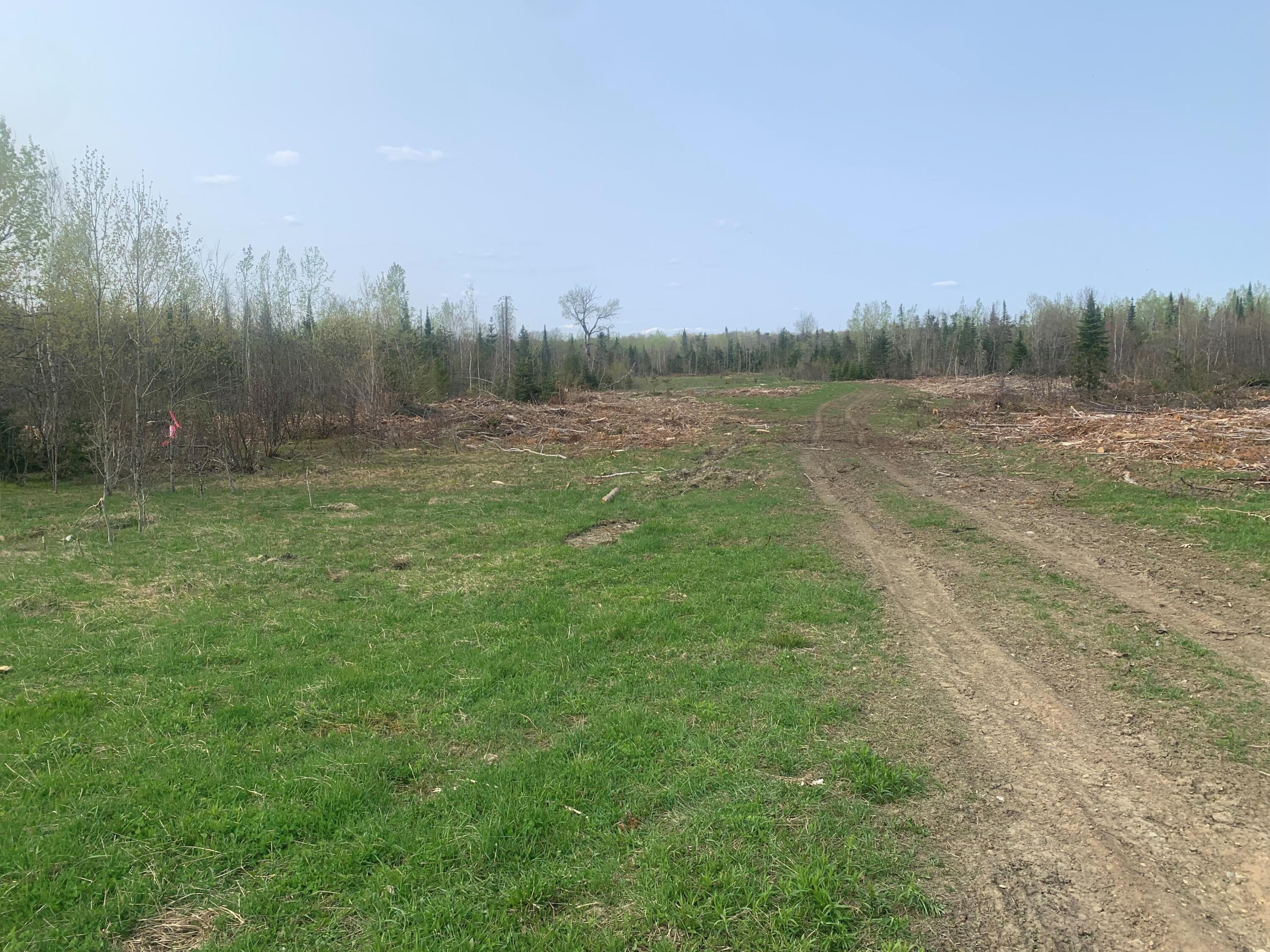 0 Townline Road Merrill, ME 04780 - Photo 3 of 21 MLS3