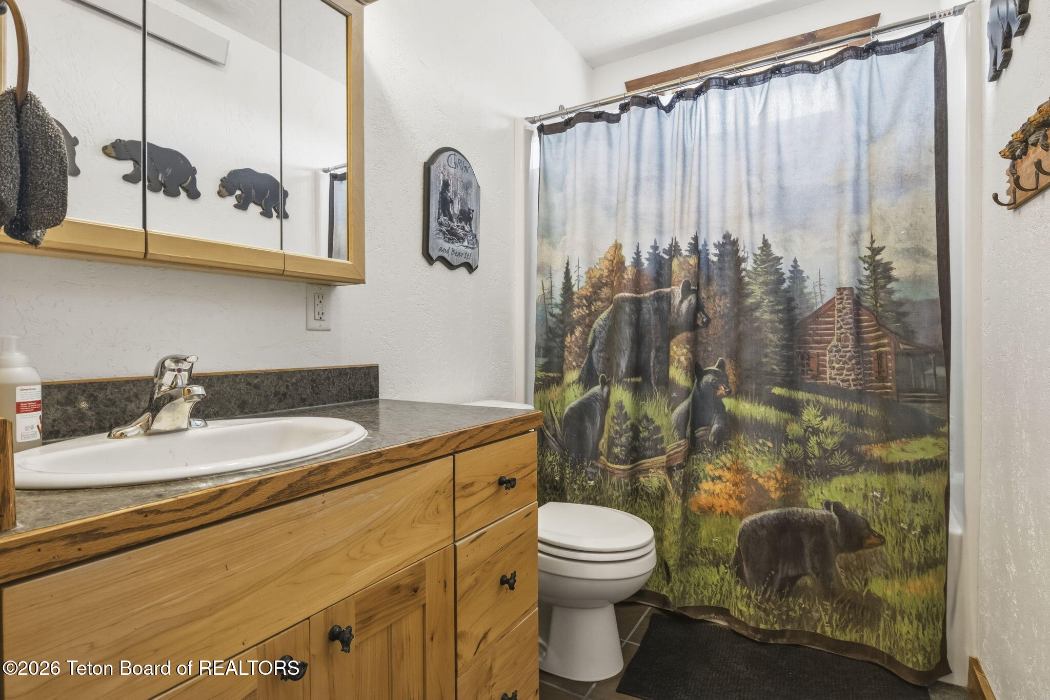 456 Crow Creek Road Afton, WY 83110 - Photo 26 of 63 38-web-or-mls-IMG_8715