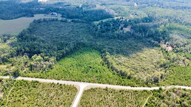 $117,000 | Lot 3 Southwest Wonderwood Street, Greenville, FL 32331