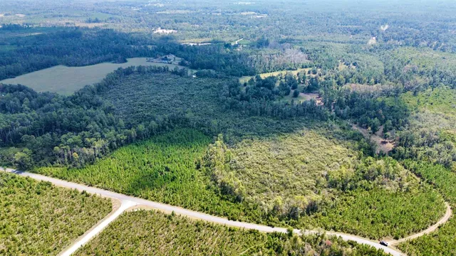 $117,000 | Lot 3 Southwest Wonderwood Street, Greenville, FL 32331