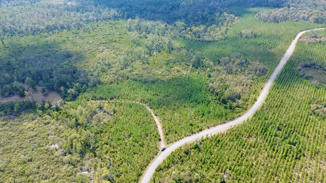 $117,000 | Lot 3 Southwest Wonderwood Street, Greenville, FL 32331