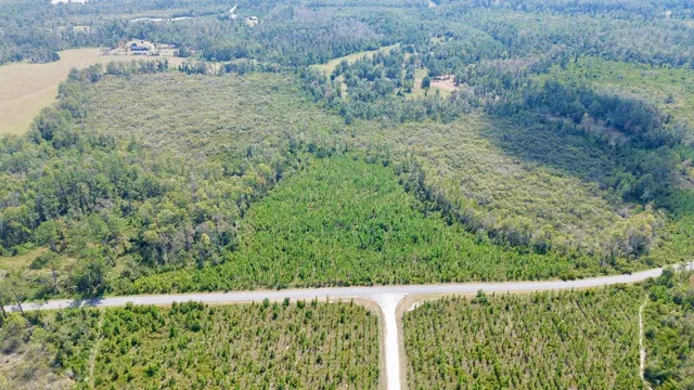 $117,000 | Lot 3 Southwest Wonderwood Street, Greenville, FL 32331