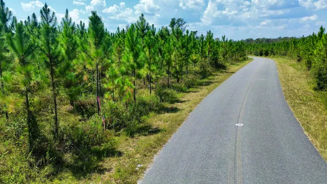 $117,000 | Lot 3 Southwest Wonderwood Street, Greenville, FL 32331