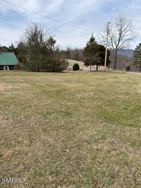 471 Wilson Road Speedwell, TN 37870 - Photo 3 of 13 right side yard