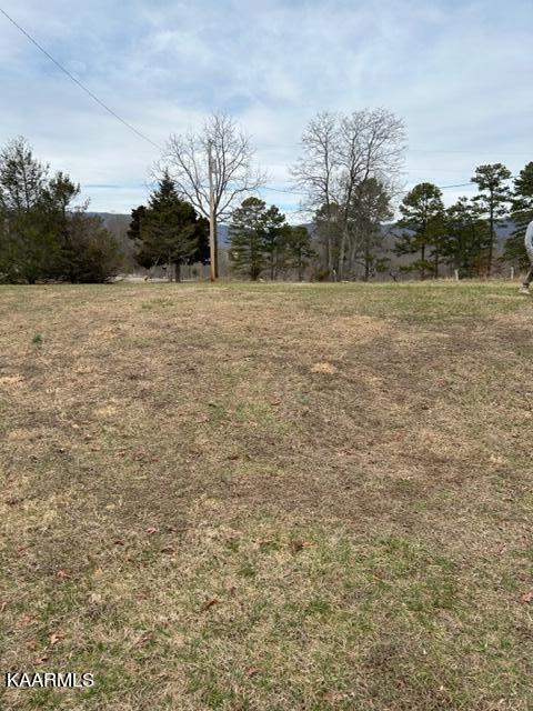 471 Wilson Road Speedwell, TN 37870 - Photo 4 of 13 front yard