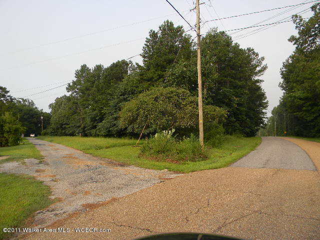 66 Joe Michaels Road Jasper, AL 35503 - Photo 5 of 5 Gallery Image 5