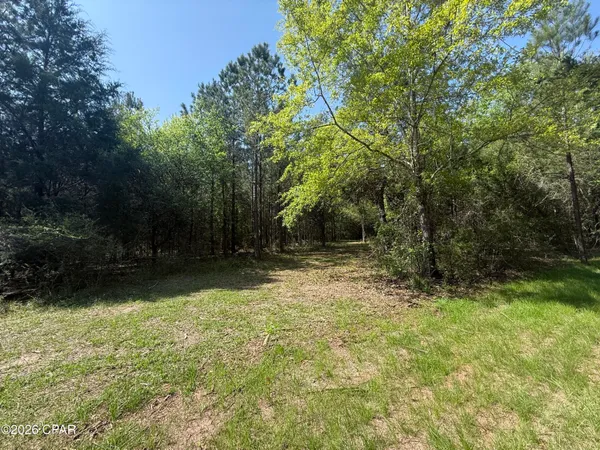 $229,900 | Tbd Sheffield Drive, Marianna, FL 32446