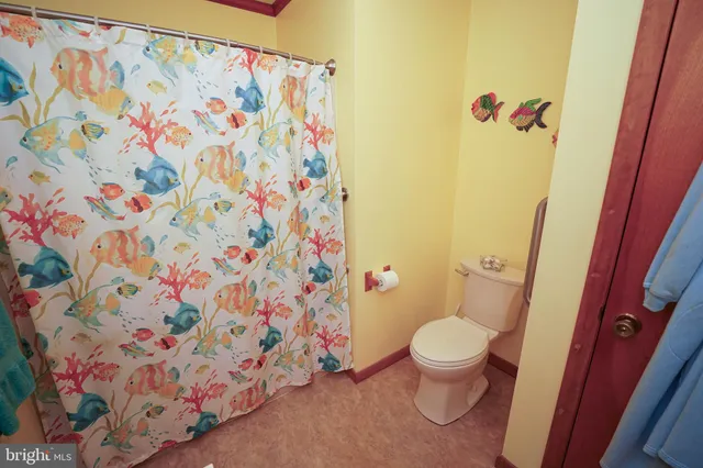 a bathroom with a toilet and shower curtain