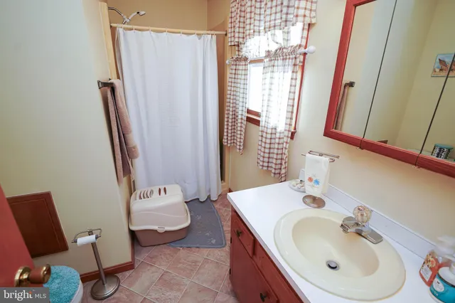 a bathroom with a sink a mirror and a shower