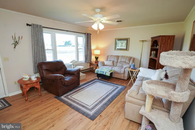 a living room with furniture rug and window