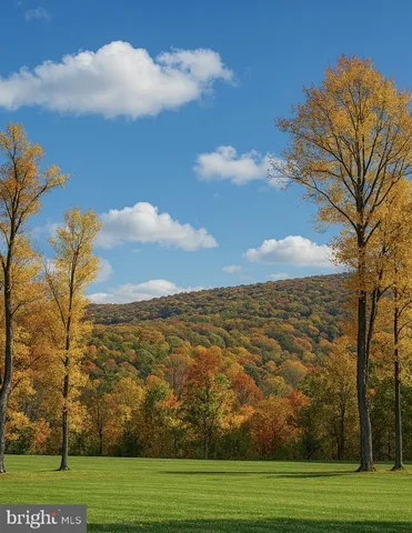 a view of a big yard