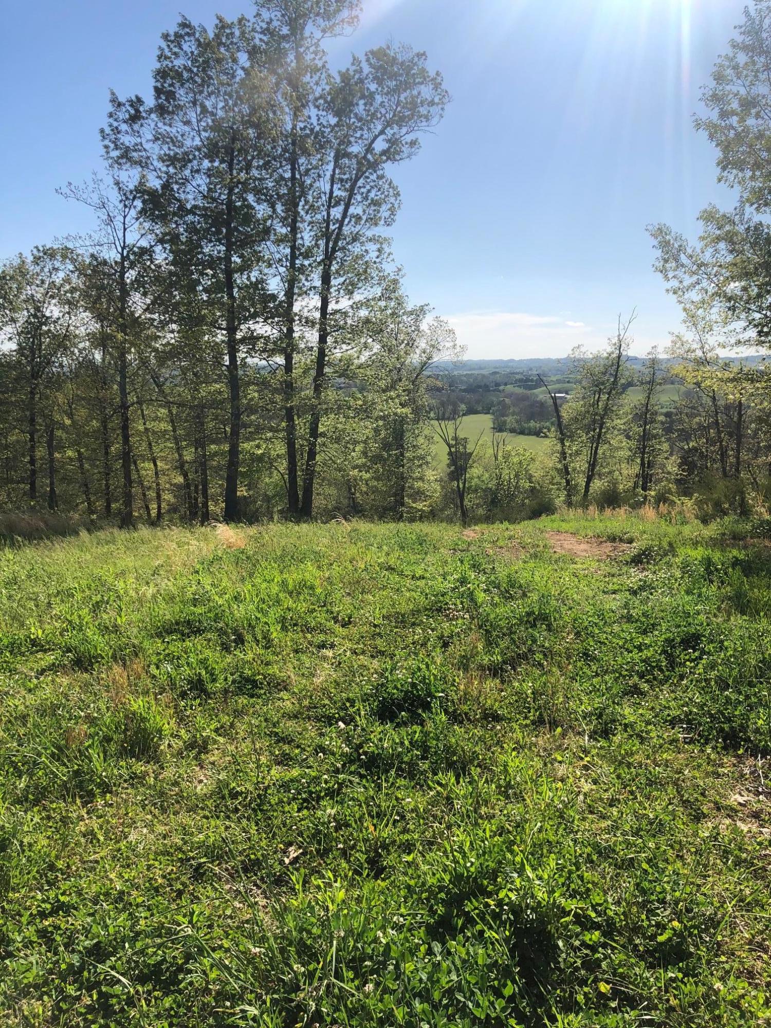 3456 Warrensburg Road Whitesburg, TN 37891 - Photo 11 of 33 IMG_5821
