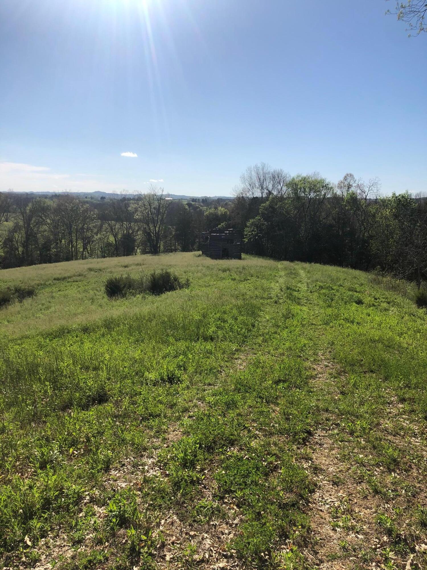 3456 Warrensburg Road Whitesburg, TN 37891 - Photo 12 of 33 IMG_5822
