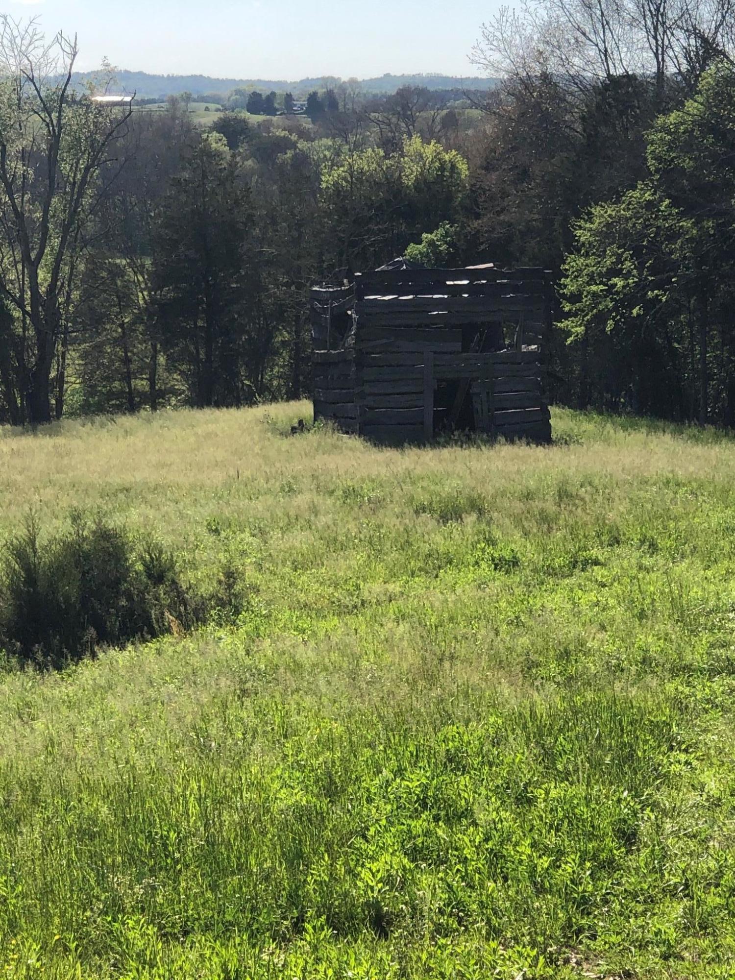 3456 Warrensburg Road Whitesburg, TN 37891 - Photo 13 of 33 IMG_5823