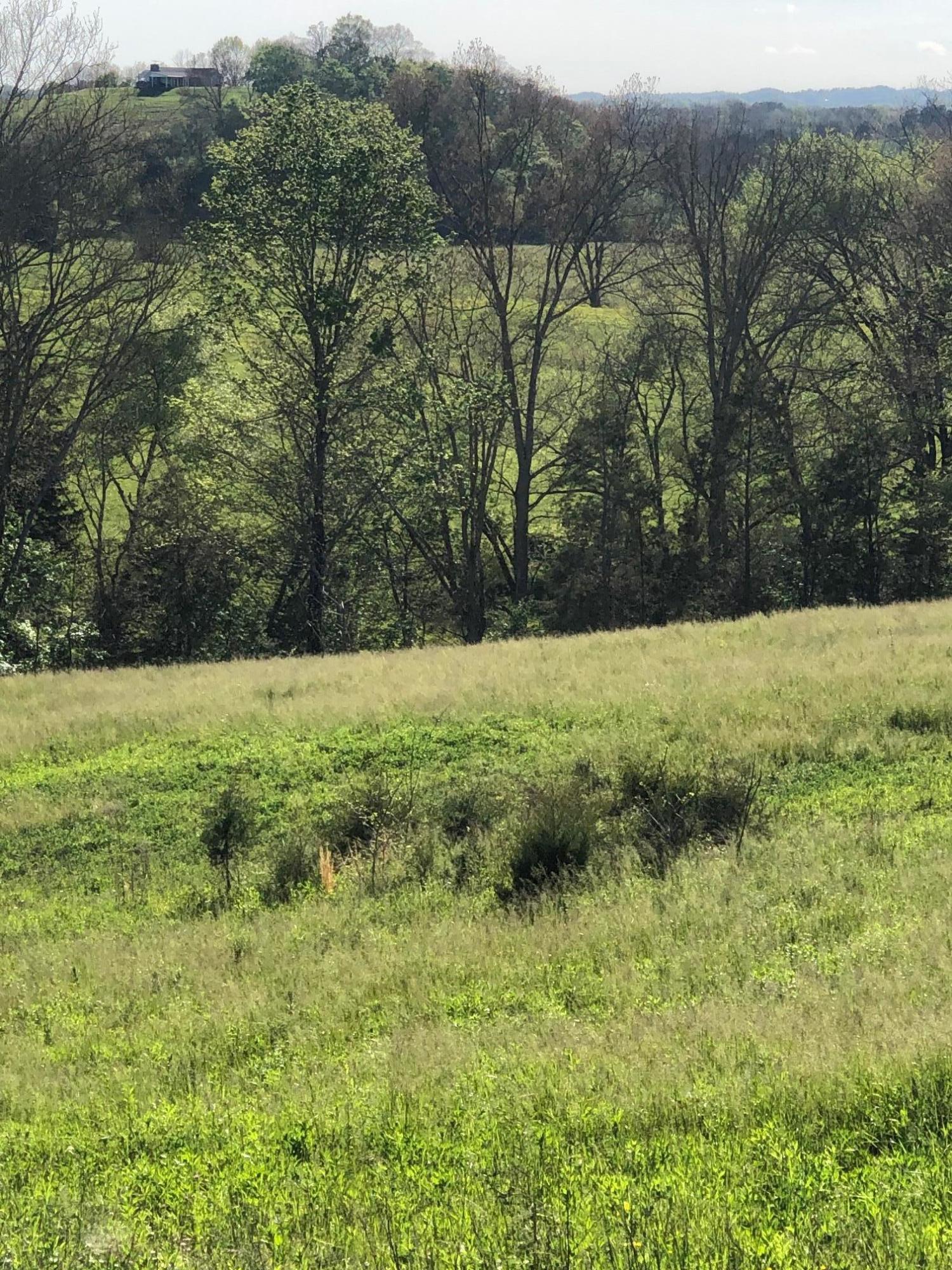 3456 Warrensburg Road Whitesburg, TN 37891 - Photo 14 of 33 IMG_5824