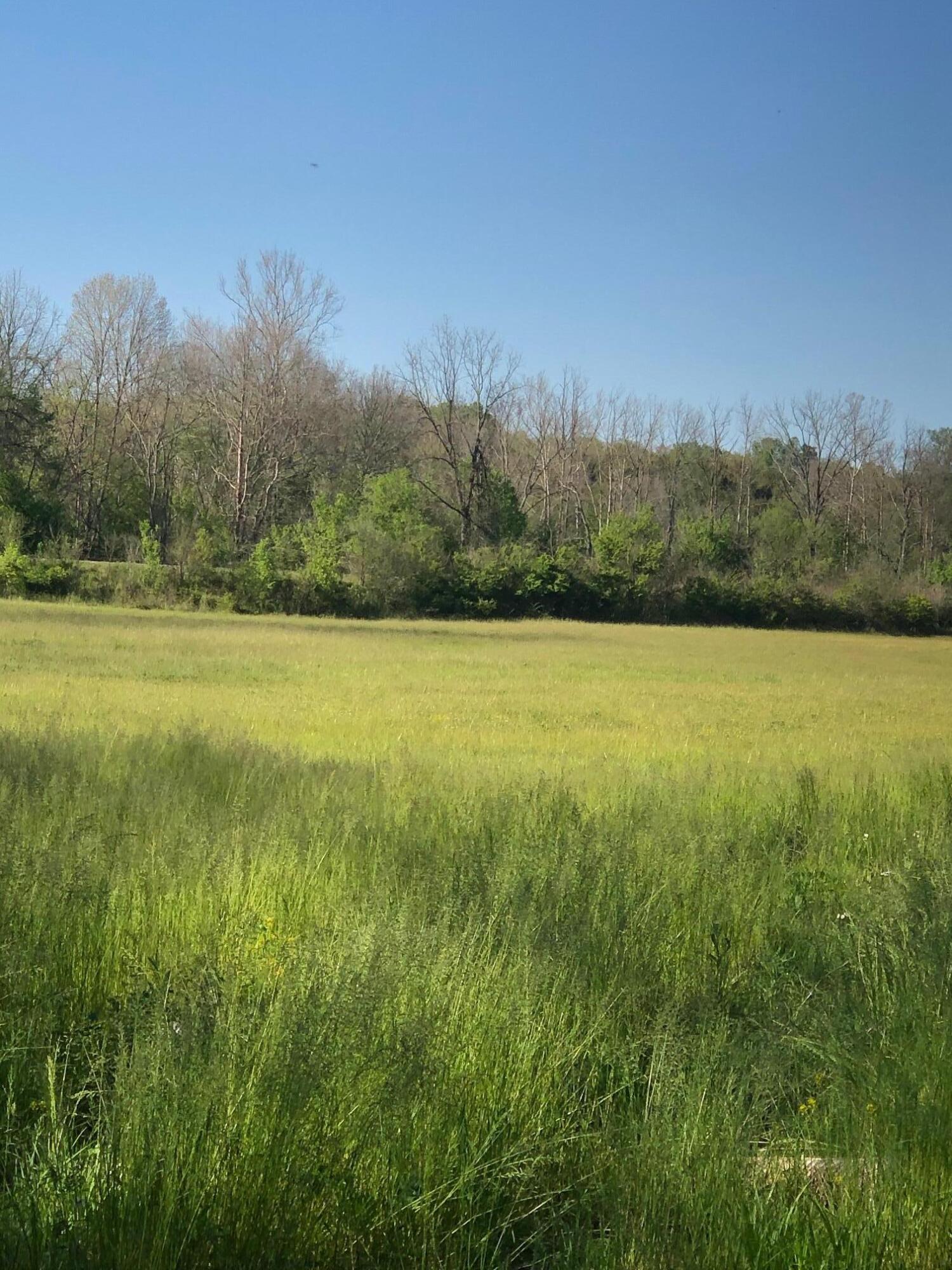 3456 Warrensburg Road Whitesburg, TN 37891 - Photo 15 of 33 IMG_5825