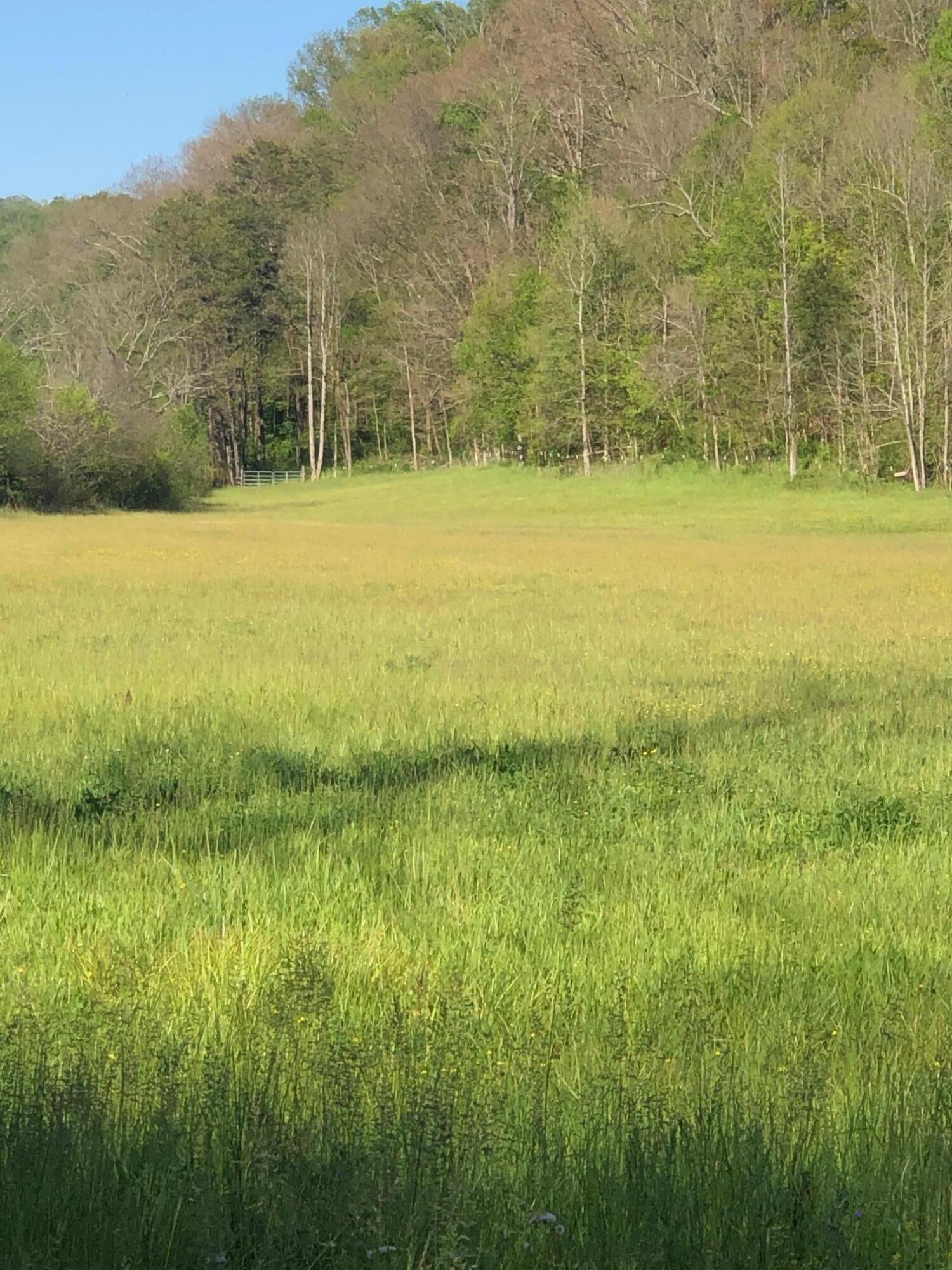 3456 Warrensburg Road Whitesburg, TN 37891 - Photo 23 of 33 IMG_5833