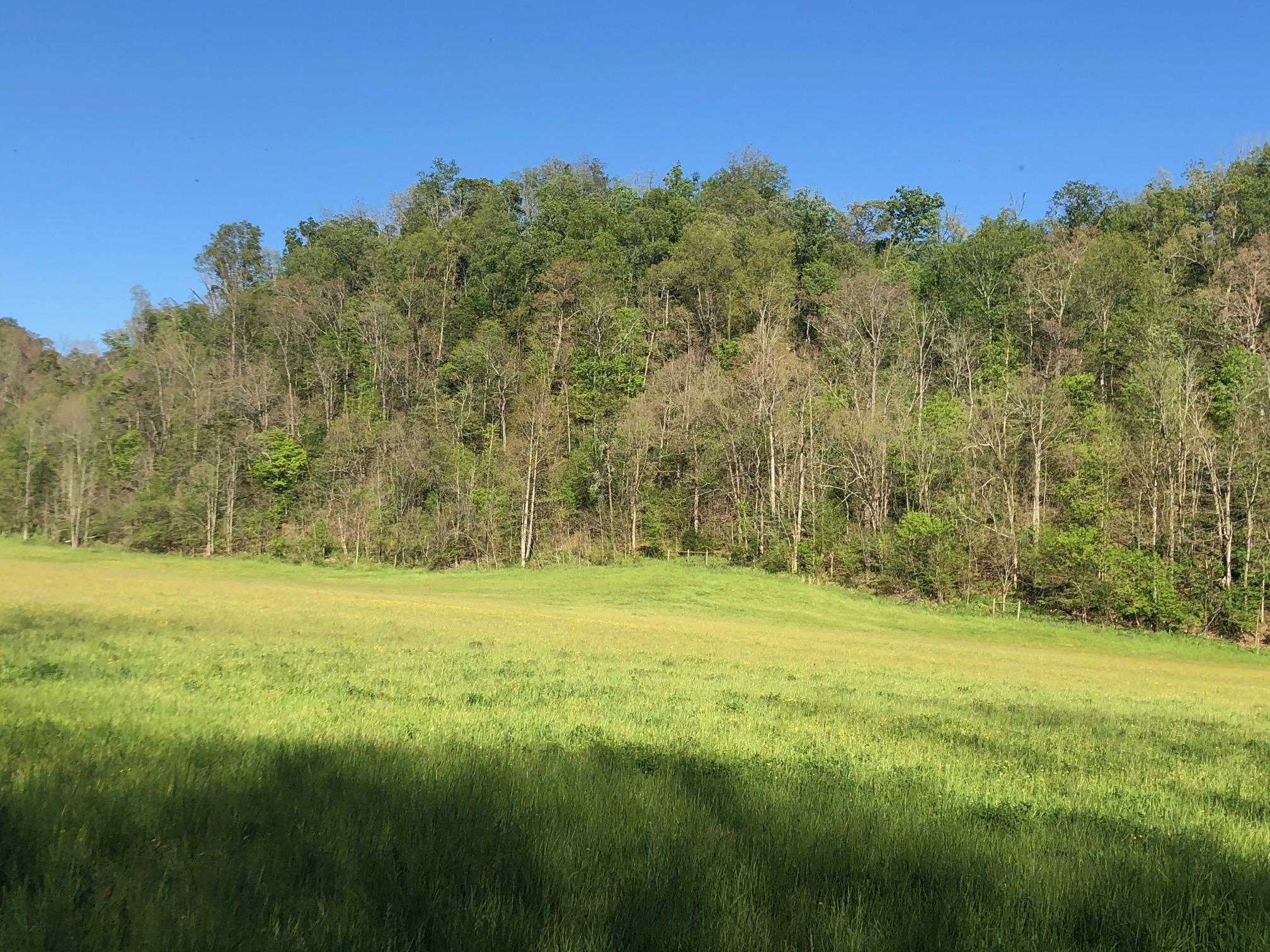 3456 Warrensburg Road Whitesburg, TN 37891 - Photo 25 of 33 IMG_5835