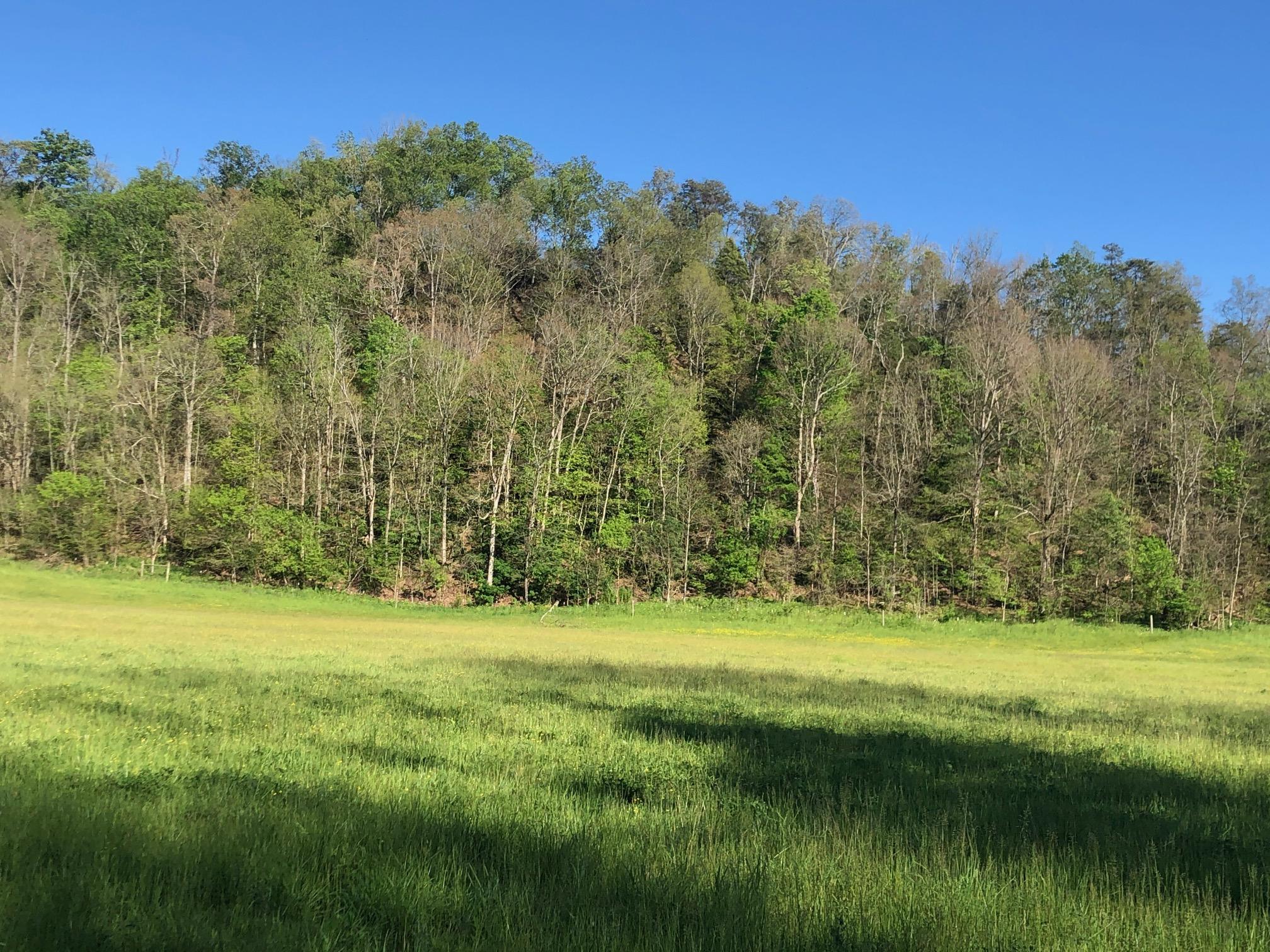 3456 Warrensburg Road Whitesburg, TN 37891 - Photo 26 of 33 IMG_5836