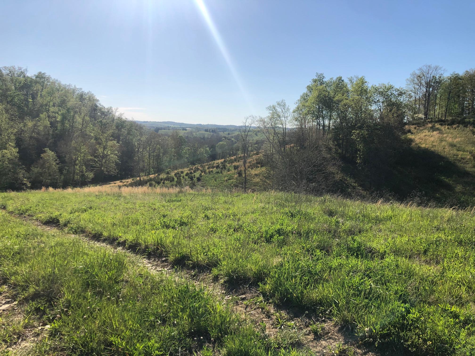 3456 Warrensburg Road Whitesburg, TN 37891 - Photo 27 of 33 IMG_5837