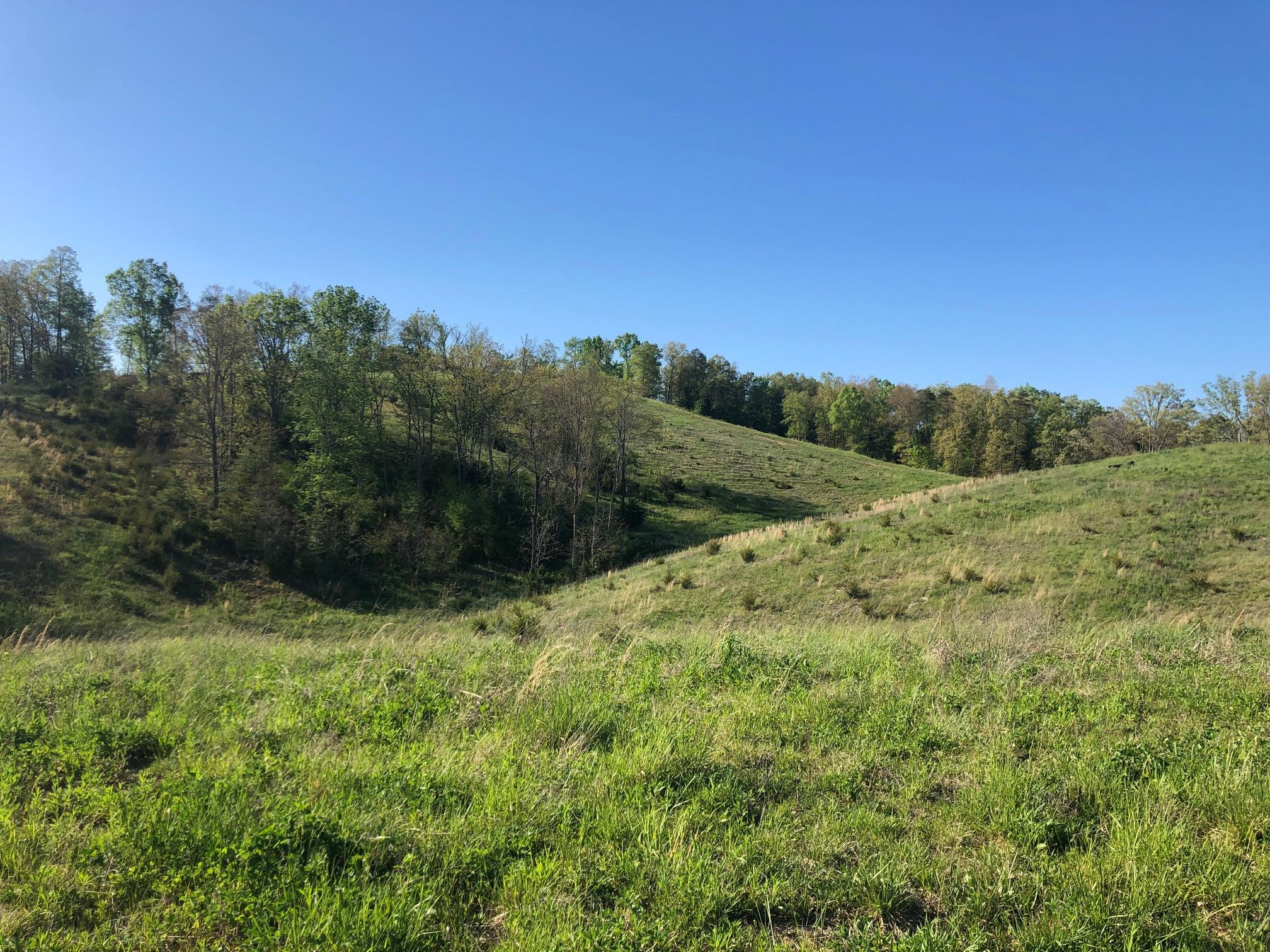 3456 Warrensburg Road Whitesburg, TN 37891 - Photo 28 of 33 IMG_5838