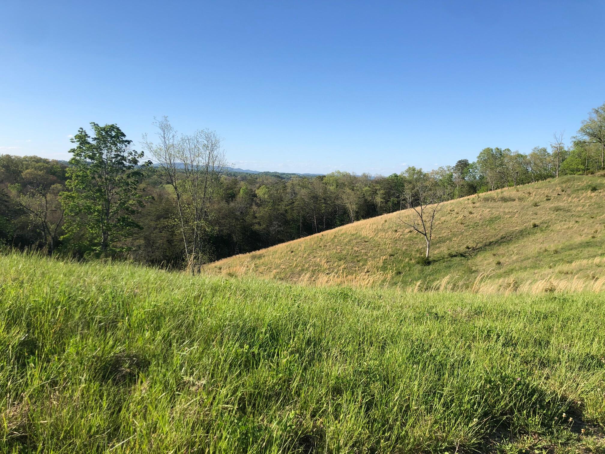 3456 Warrensburg Road Whitesburg, TN 37891 - Photo 32 of 33 IMG_5842