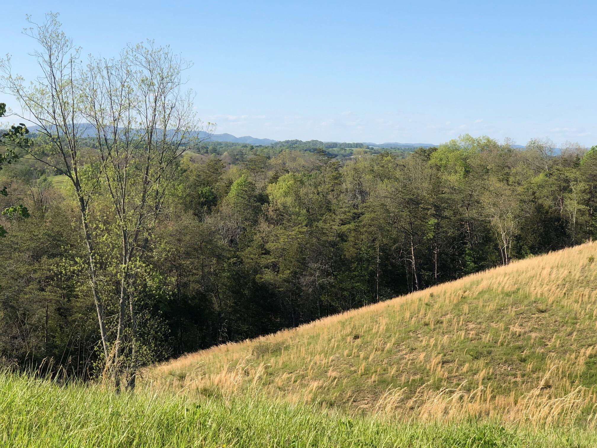 3456 Warrensburg Road Whitesburg, TN 37891 - Photo 33 of 33 IMG_5843