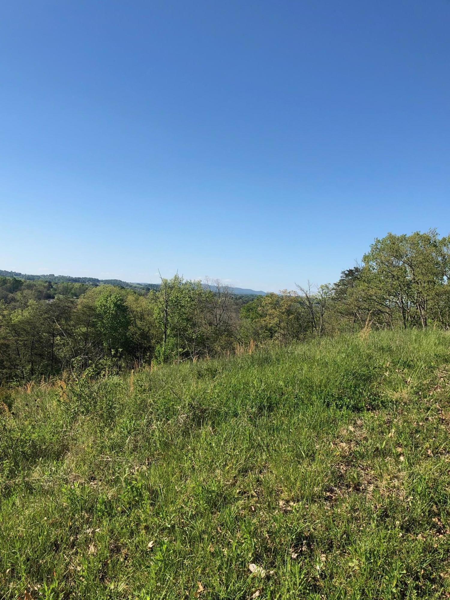 3456 Warrensburg Road Whitesburg, TN 37891 - Photo 6 of 33 IMG_5816