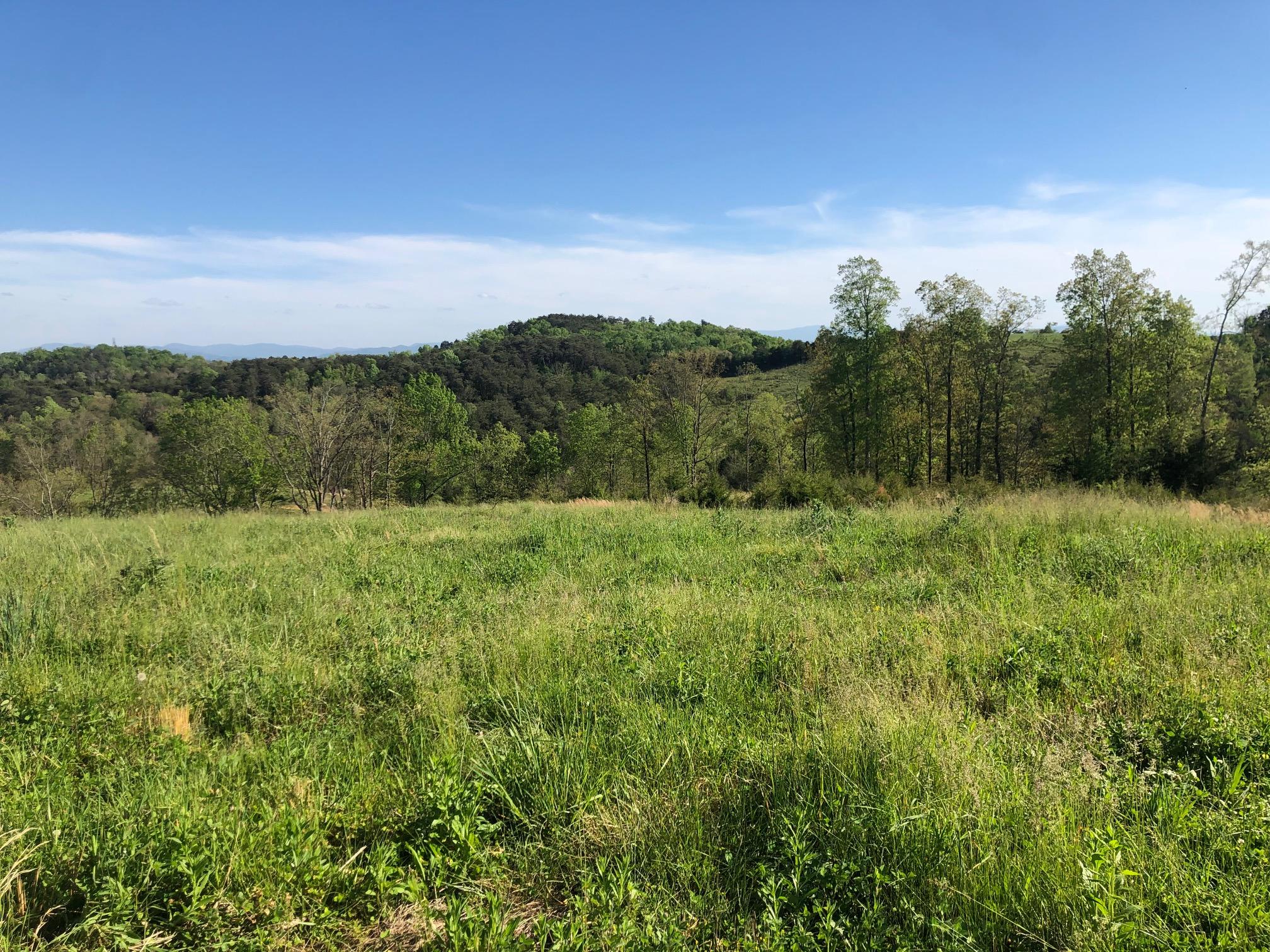 3456 Warrensburg Road Whitesburg, TN 37891 - Photo 10 of 33 IMG_5820