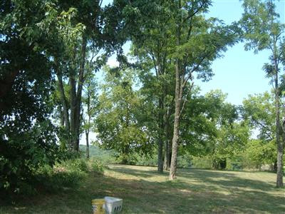 342 Chaney Road Brooksville, KY 41004 - Photo 2 of 7 Gallery Image 2