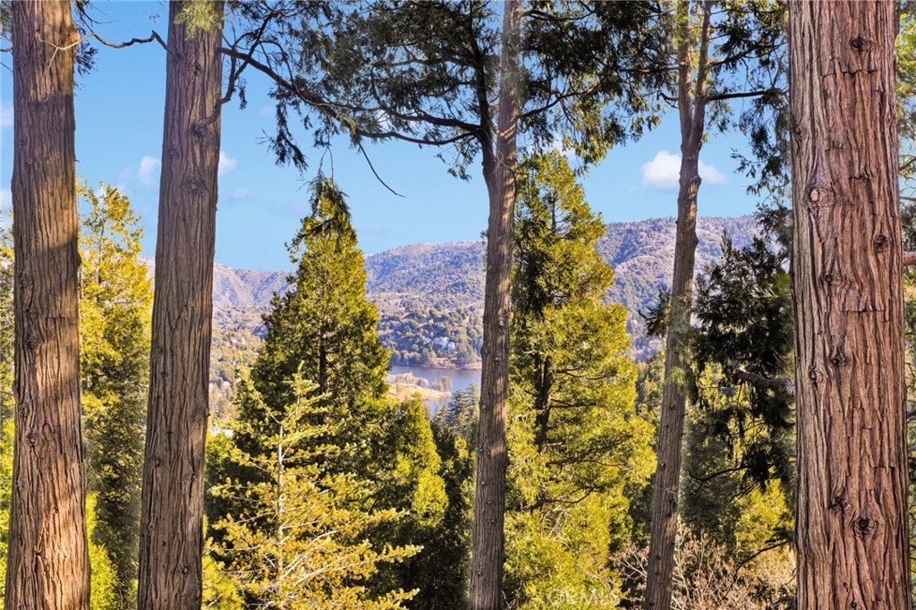 993 Mercury Way Crestline, CA 92325 - Photo 12 of 68