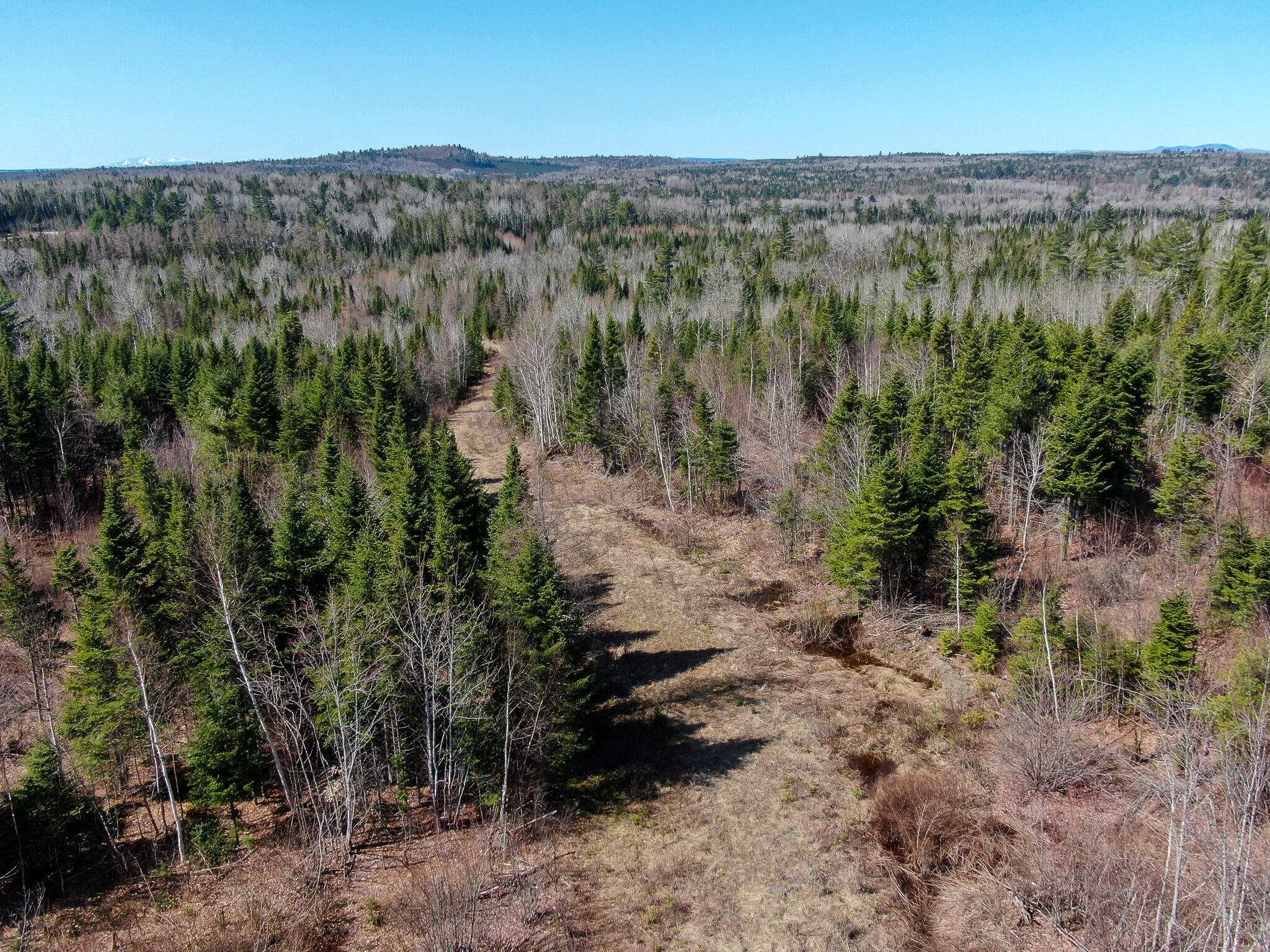 144 Black Water Road Ashland, ME 04732 - Photo 8 of 35 DJI_0224