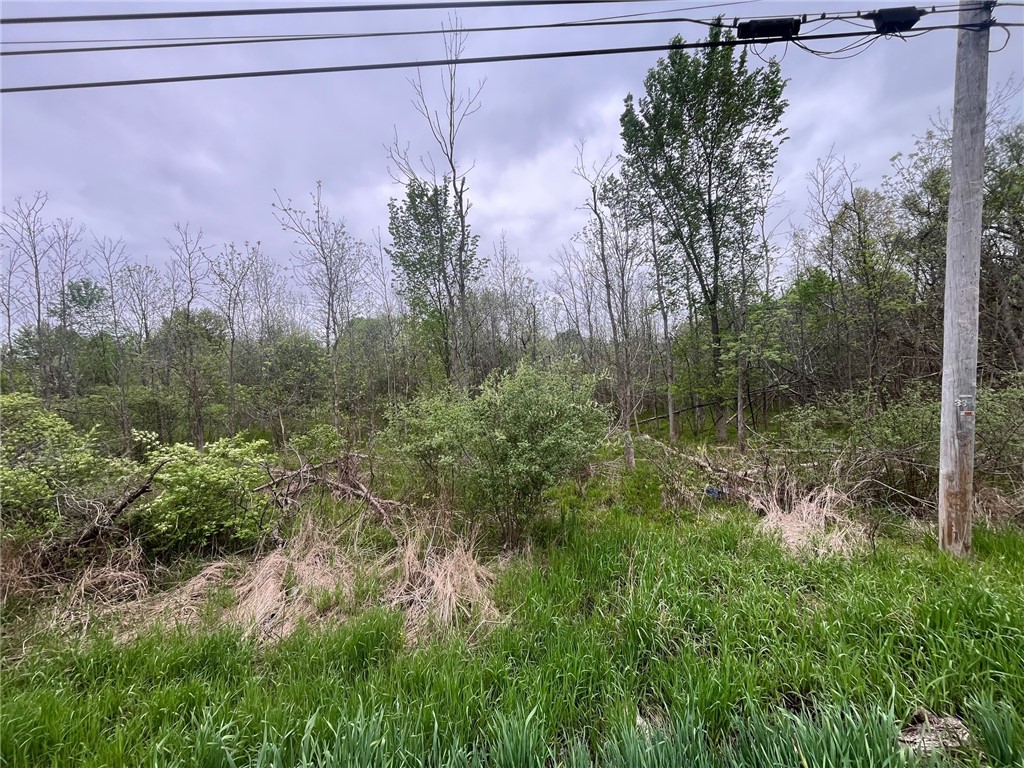 5670 Thompson Road Clarence, NY 14032 - Photo 3 of 11