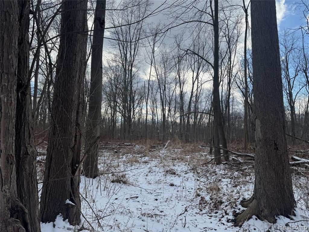 1 Remer Road East China, MI 48054 - Photo 4 of 14