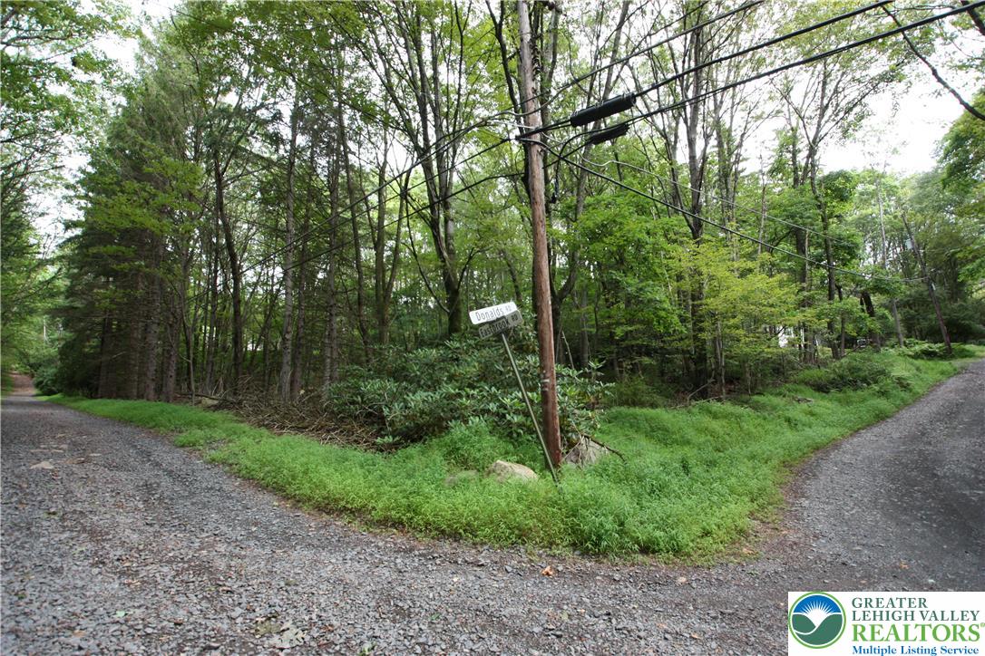 305 Cedar Hill Road Effort, PA 18330 - Photo 17 of 20 a view of a forest