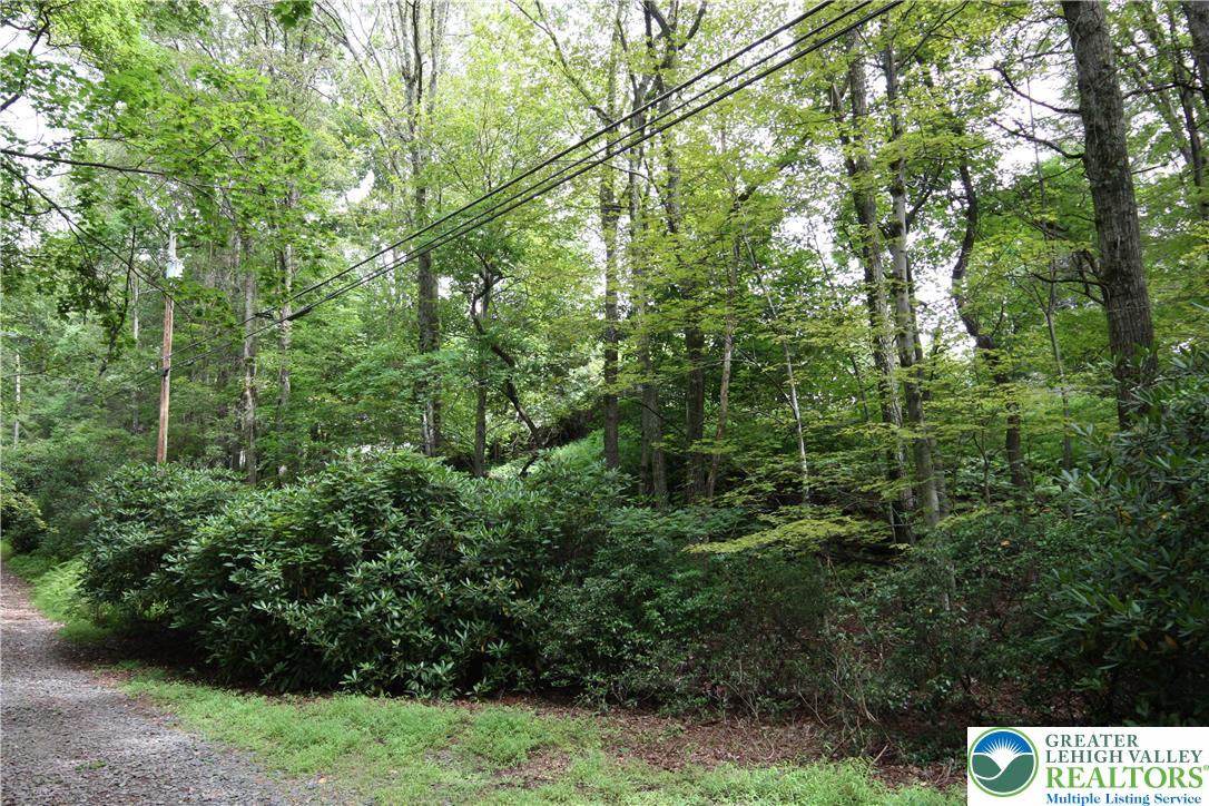 305 Cedar Hill Road Effort, PA 18330 - Photo 19 of 20 a view of a forest with trees in front of it