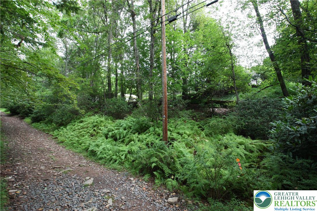 305 Cedar Hill Road Effort, PA 18330 - Photo 20 of 20 a view of a forest with trees in front of it
