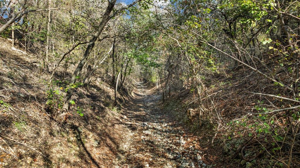 1240 Autumn Oaks Circle China Spring, TX 76633 - Photo 6 of 13 a view of a tree